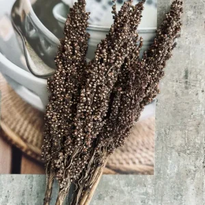 Tørkede blomster – Brown