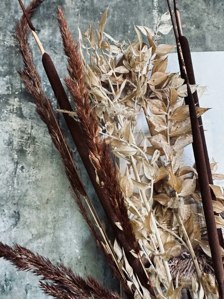 Tørkede blomster – Brown mix
