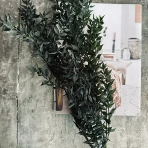 Tørkede blomster – Dark green ROSSA