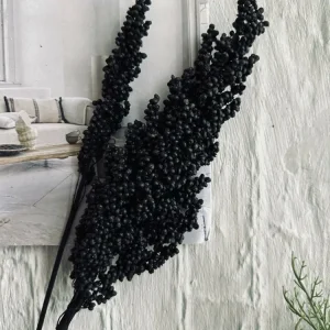 Tørkede blomster Naomi – Black