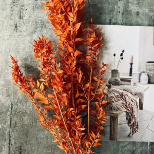 Tørkede blomster – Oransje