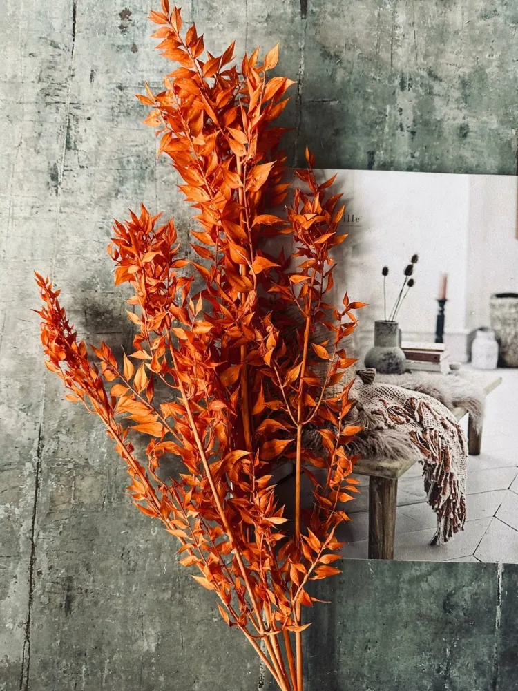 Tørkede blomster – Oransje