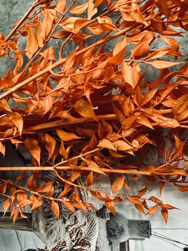 Tørkede blomster – Oransje