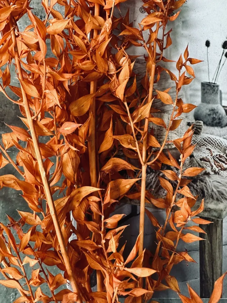 Tørkede blomster – Oransje
