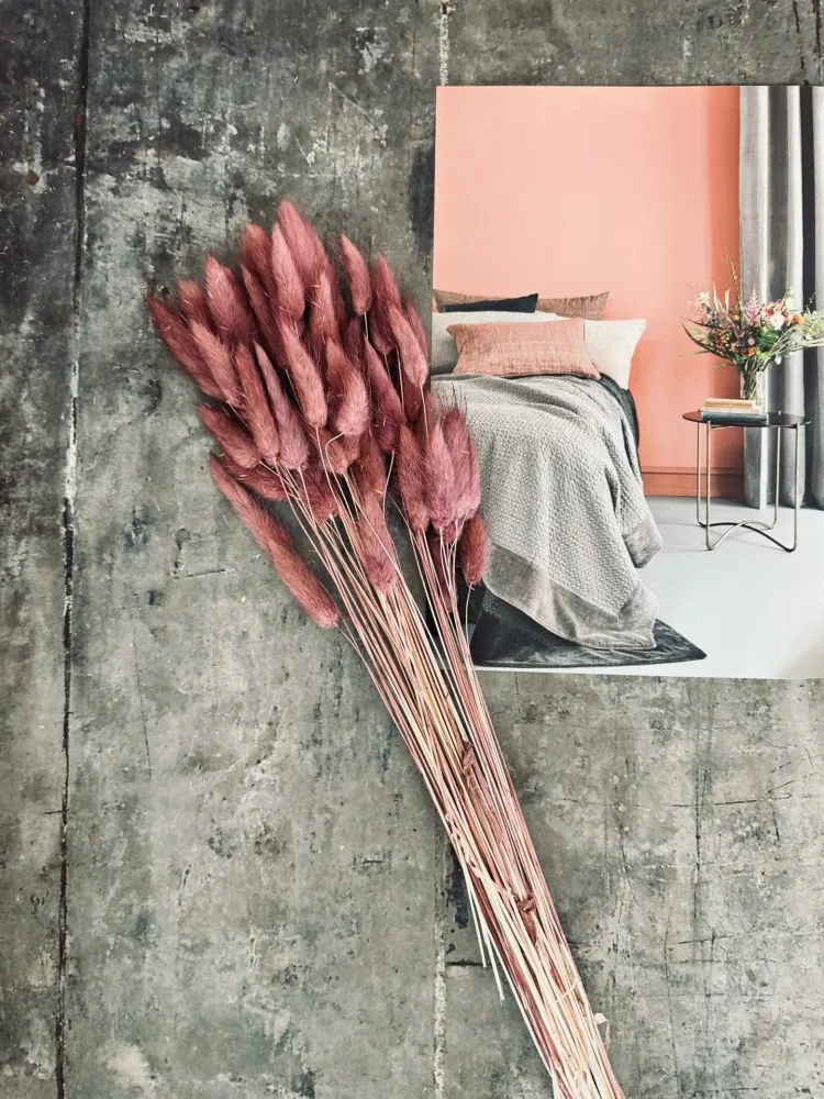 Tørkede blomster – Rose
