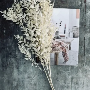 Tørkede blomster – White ROSSA