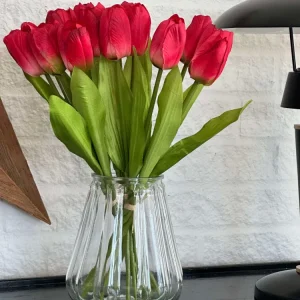 Tulipaner Bordeaux