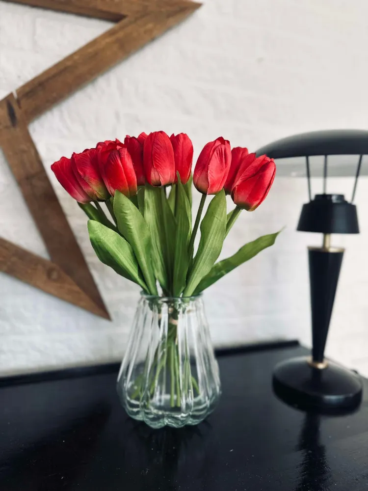 Tulipaner Bordeaux