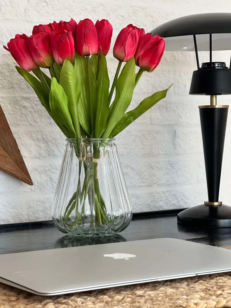 Tulipaner Bordeaux