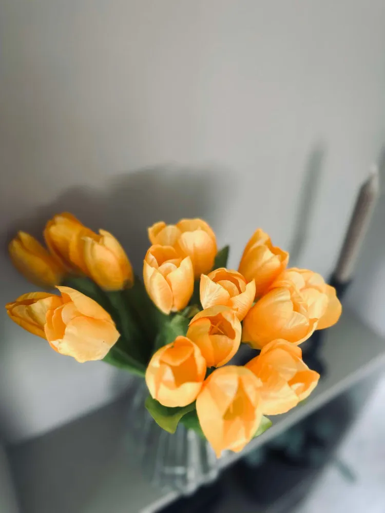 Tulipaner Gul