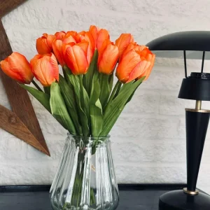 Tulipaner Oransje