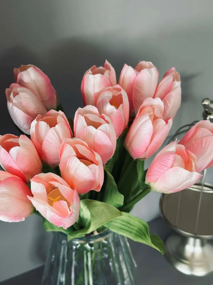 Tulipaner Rosa