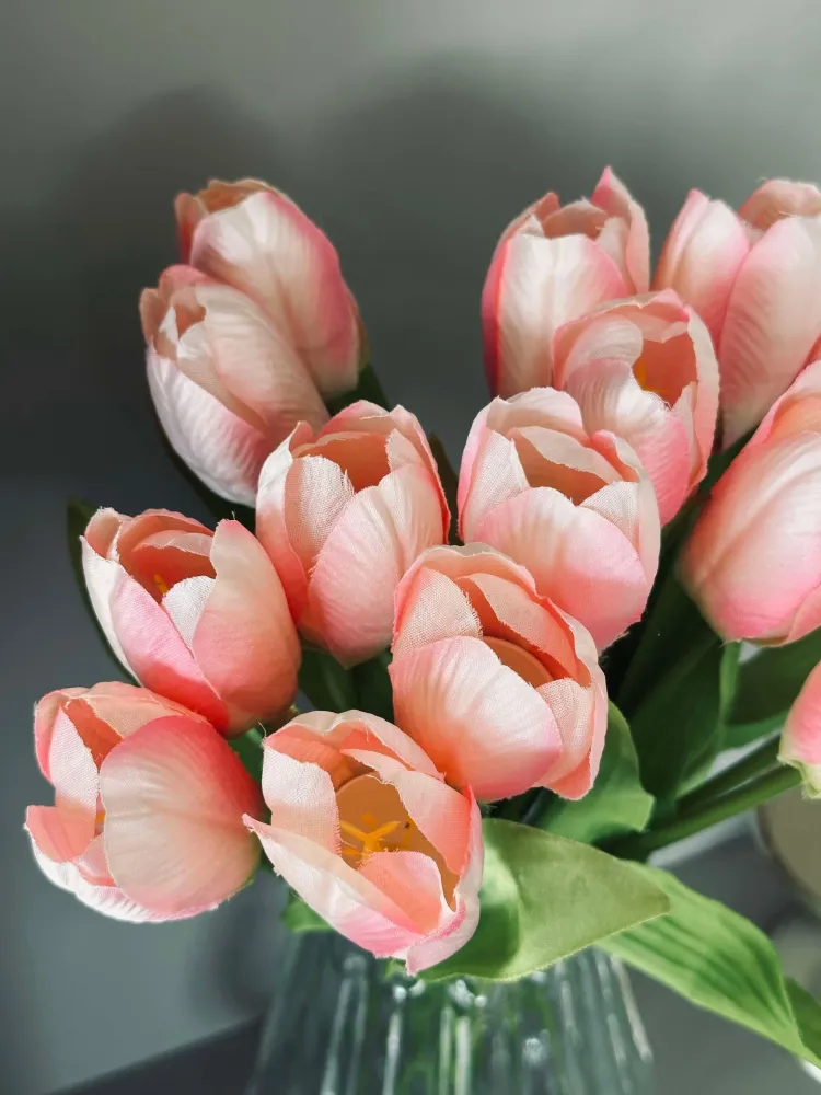 Tulipaner Rosa