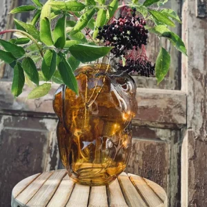 Vase Amber Shape