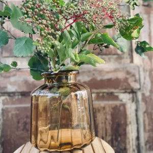 Vase Brown Luca
