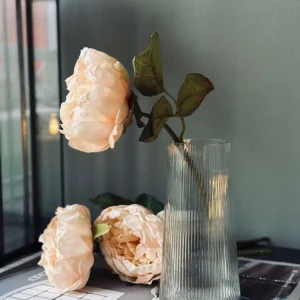 Vase Lines