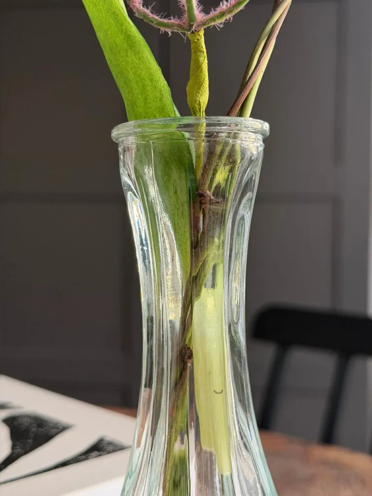 Vase - Solitær