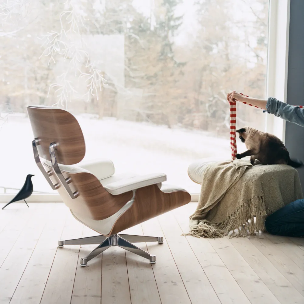 Vitra House Bird, Black