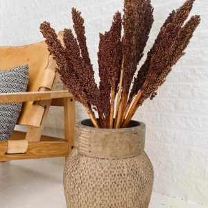 Wild Corn - Terracotta - 20stk
