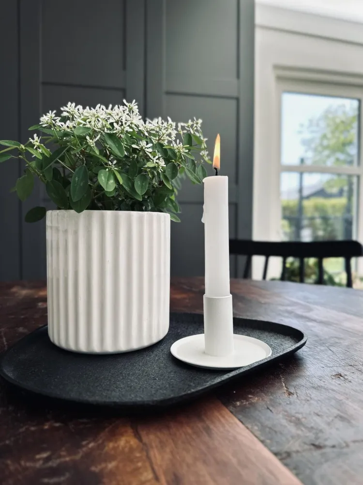 Lysfat / brett Svart Organisk – Liten