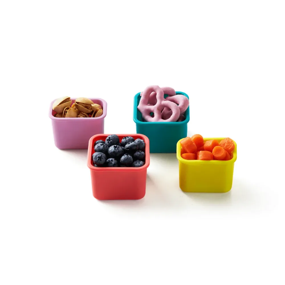 PlanetBox Pod 4 Pack - Rover, Blossom