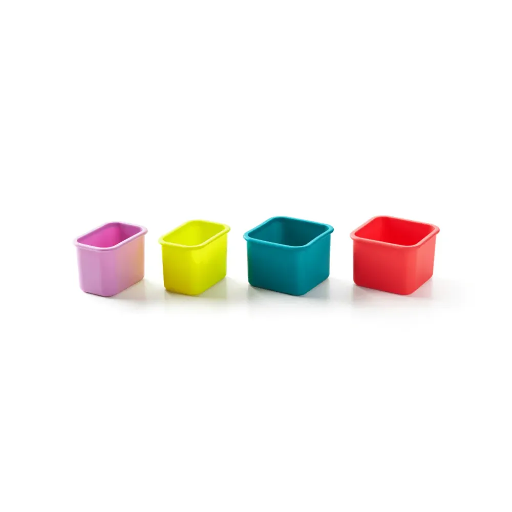 PlanetBox Pod 4 Pack - Rover, Blossom