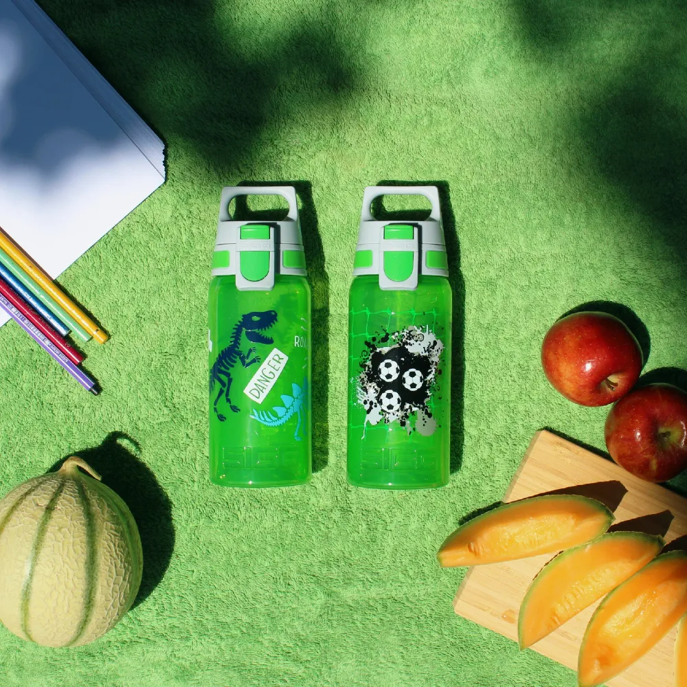 SIGG Kids VIVA ONE 0.5L, Jurassic