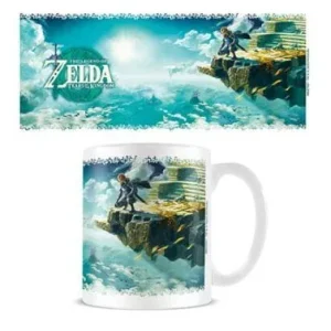 Zelda Kopp Tears Kingdom Hyrule Skies