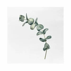sögne serviett coctail eucalyptus