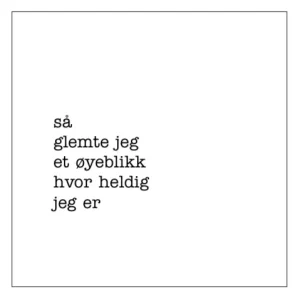 sögne serviett lunch heldig
