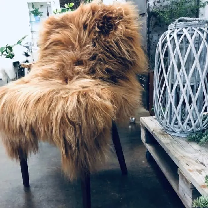 Islandsk lammeskinn - Ginger