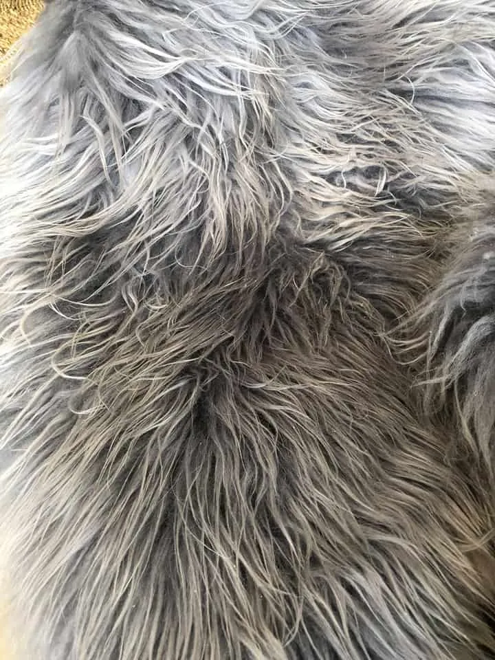 Silver Grey, islandsk lammeskinn