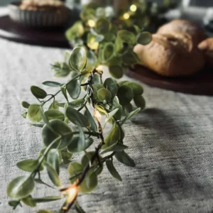 Lyskjede med grønne eucalyptus-blader