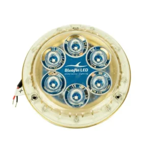 Piranha P6 NITRO SM Cobalt Blue 12V