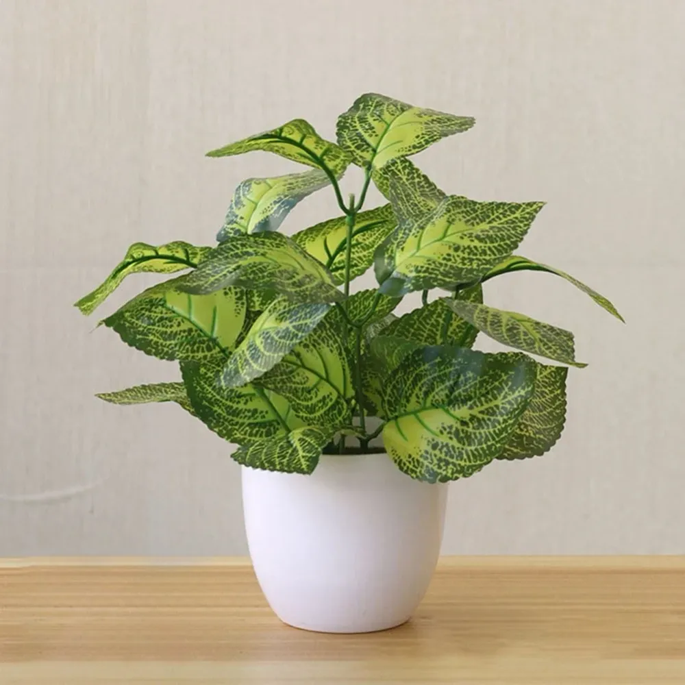 Kunstig Amerikansk Dieffenbachia Maroba i Hvit Potte 22cm