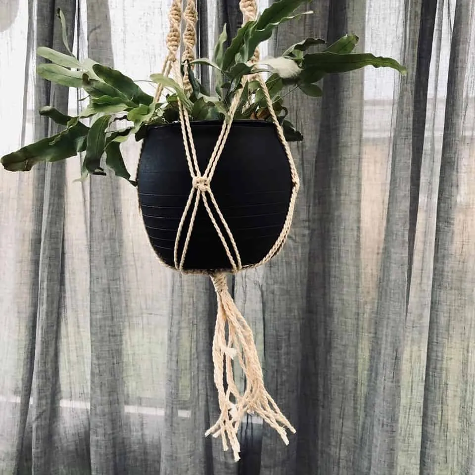Blomsteroppheng – Jutesnor