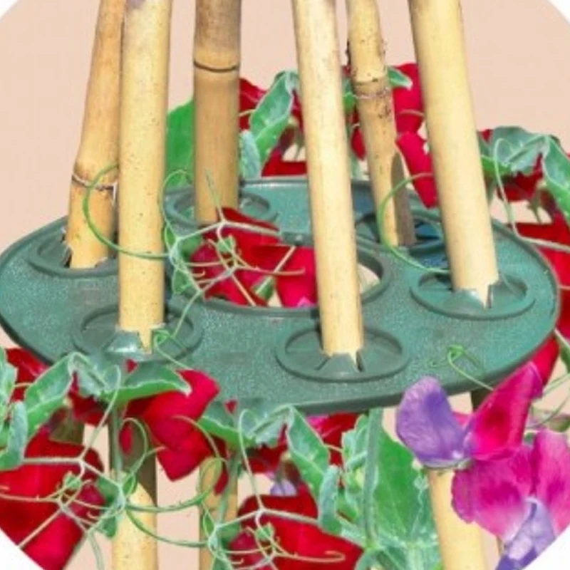 cane grips