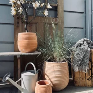 Hagekrukke Terrakotta sett av 3 størrelser