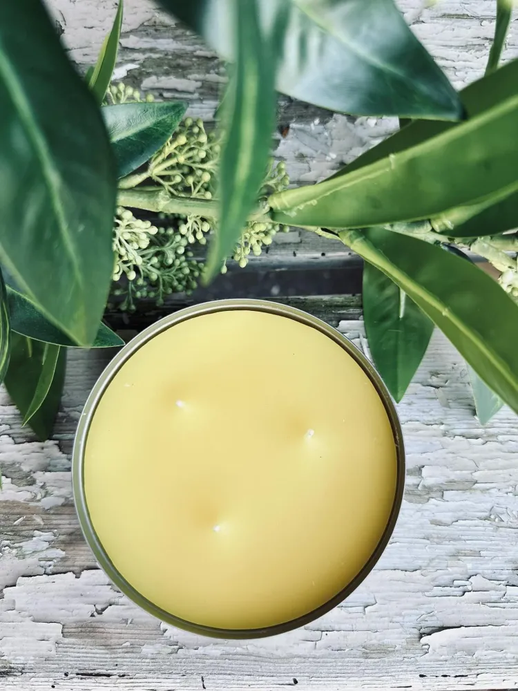 Mygglys Citronella