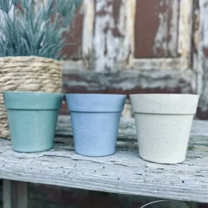 Mygglys – Citronella i biopotte