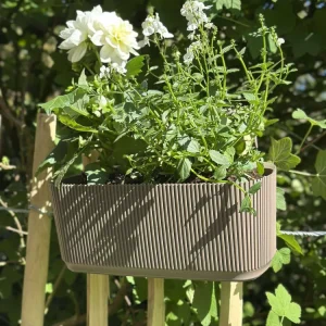 Plantekasse med oppheng - Beige