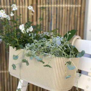 Plantekasse med oppheng – Krem