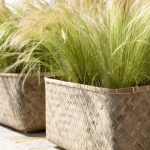 Plantekasse Natur / sement