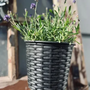 Plantekurv med hengebeslag