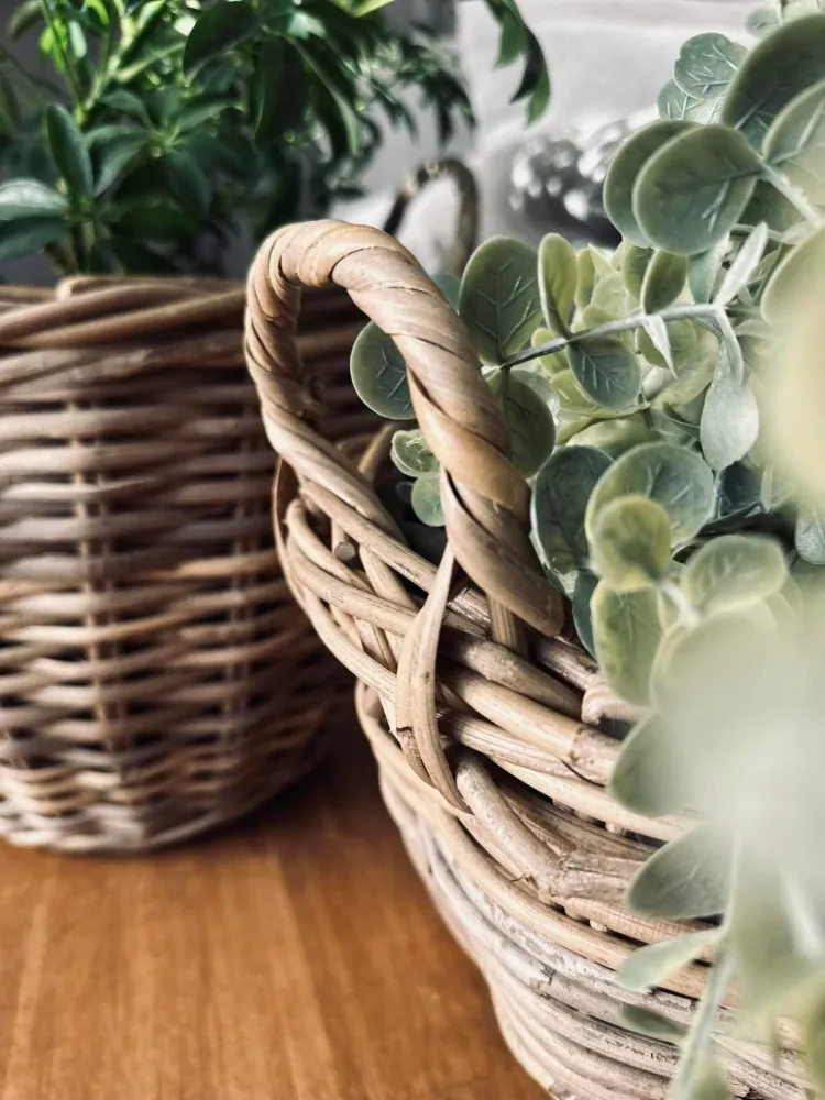 Plantekurv med håndtak - Liten