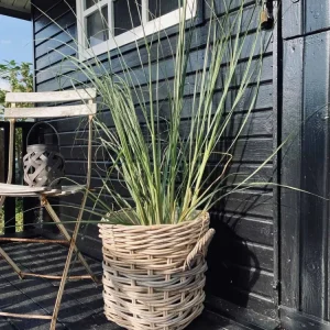 Plantekurv - Grå Rattan - Liten