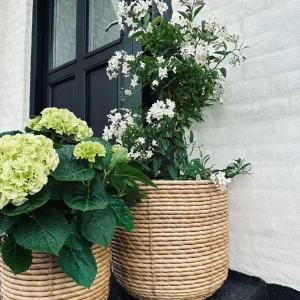 Plantekurver RATTAN BIG - Sett med 3 størrelser