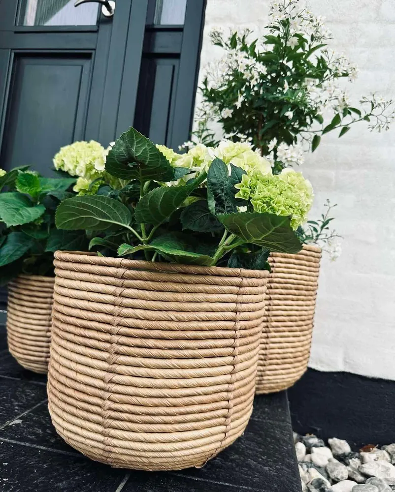 Plantekurver RATTAN BIG - Sett med 3 størrelser