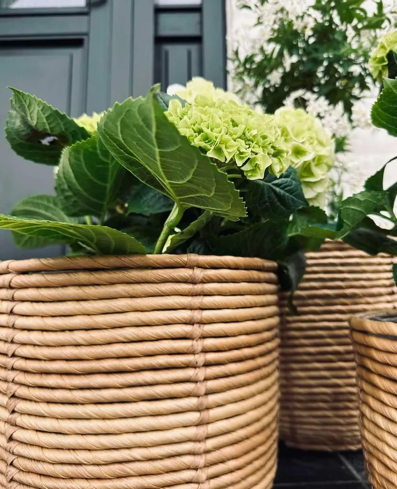 Plantekurver RATTAN BIG - Sett med 3 størrelser