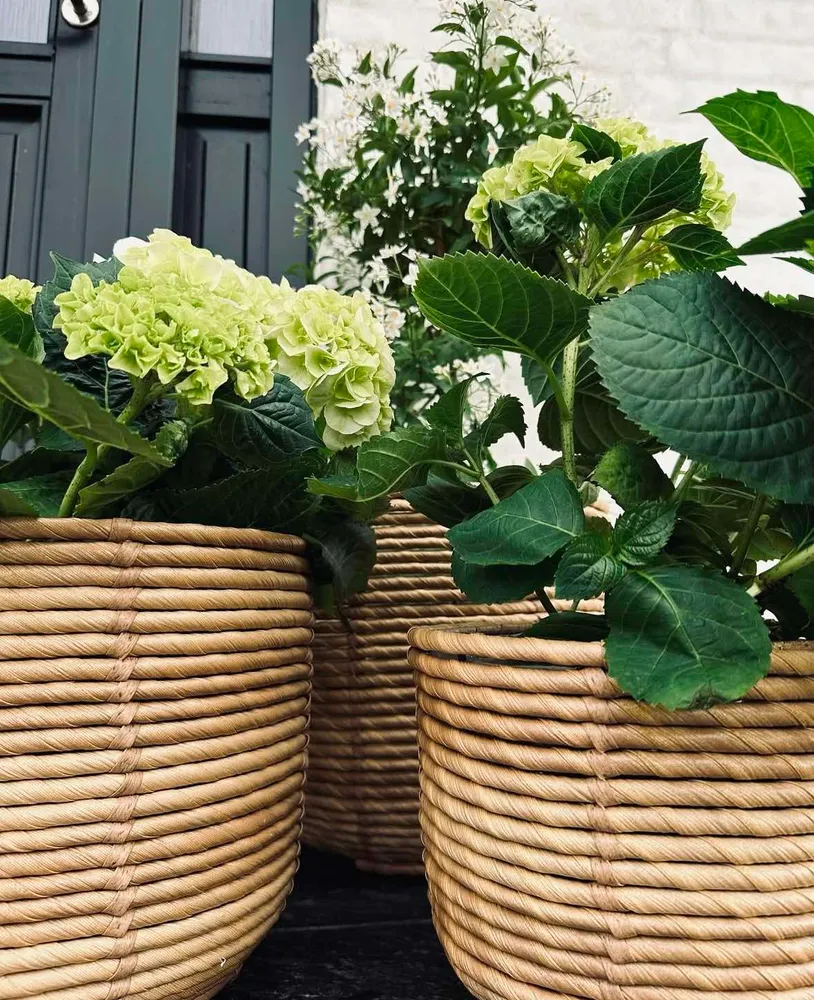 Plantekurver RATTAN BIG - Sett med 3 størrelser